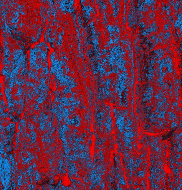 Soyut arkaplan. Çoklu renkli doku çizimi.