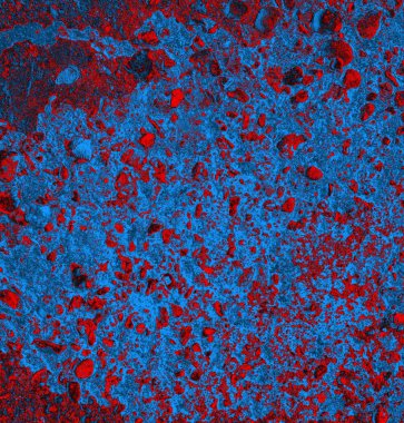 Soyut arkaplan. grunge dokusu