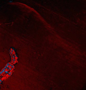 abstract grunge wallpaper, digital background