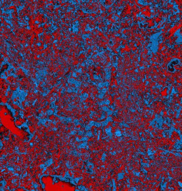 Soyut arkaplan, doku. Mavi ve kırmızı 