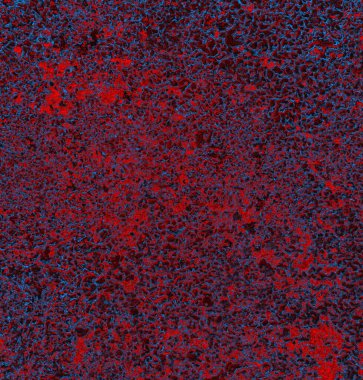 Soyut arkaplan. grunge dokusu