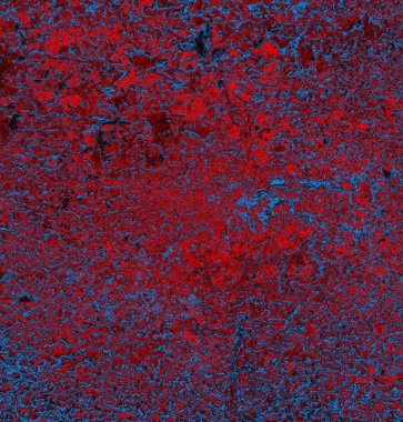 Soyut arkaplan. grunge dokusu