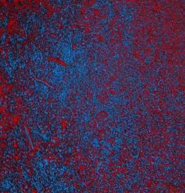 Soyut arkaplan, doku. Mavi ve kırmızı 