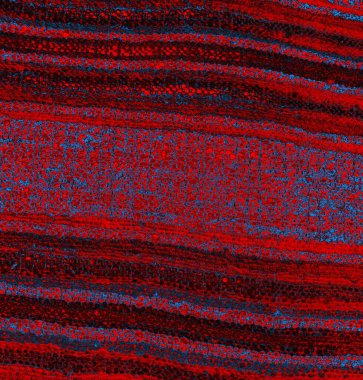 abstract grunge wallpaper, digital background