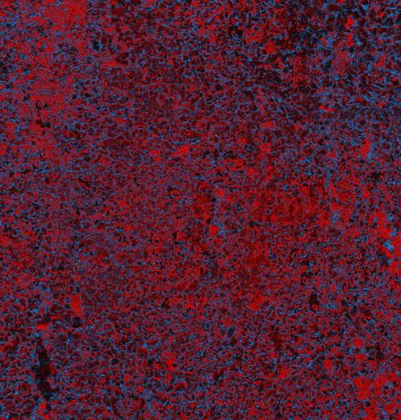 Soyut arkaplan. grunge dokusu