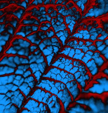 Soyut arkaplan. Monokrom dokusu. Resim siyah ve beyaz tonları içerir.