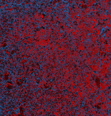 Soyut arkaplan. grunge dokusu