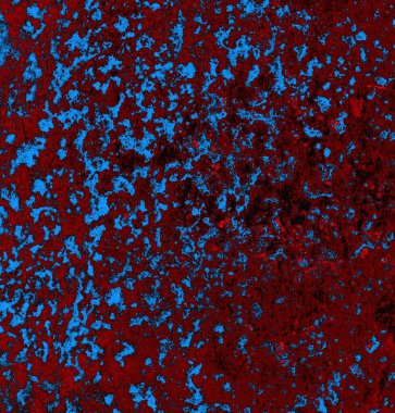 abstract grunge wallpaper, digital background