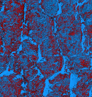 abstract grunge wallpaper, digital background