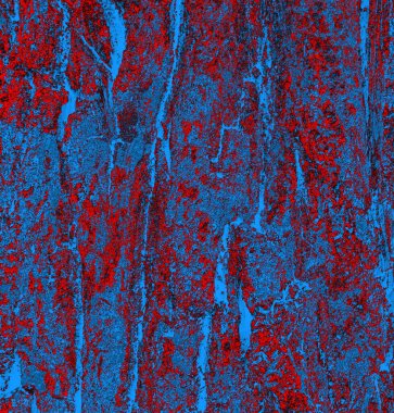 abstract grunge wallpaper, digital background