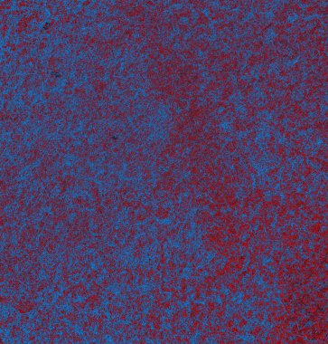 Soyut arkaplan. grunge dokusu