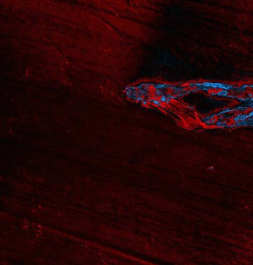 abstract grunge wallpaper, digital background