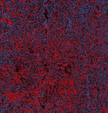 Soyut arkaplan. grunge dokusu