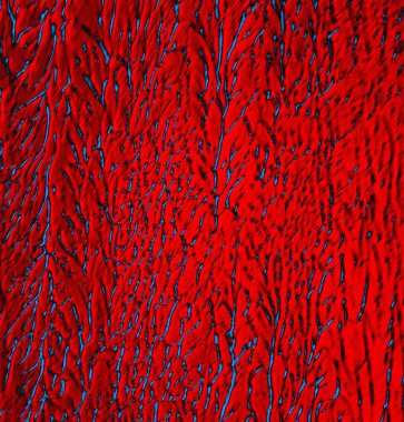 abstract grunge wallpaper, digital background