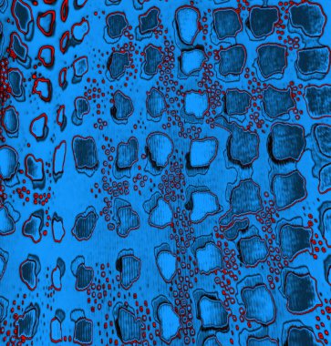 Soyut arkaplan. Monokrom dokusu. Resim siyah ve beyaz tonları içerir.