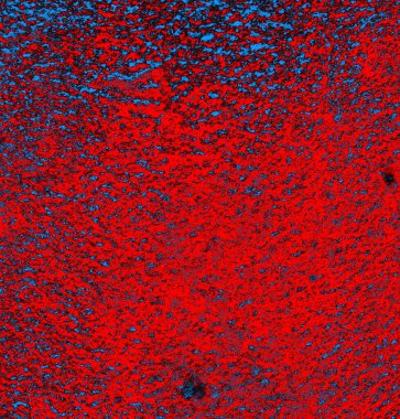 Soyut grungy desenli mavi ve kırmızı arkaplan