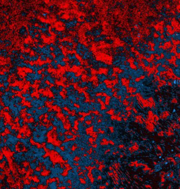 Soyut arkaplan, doku. Mavi ve kırmızı 