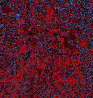 Soyut arkaplan. grunge dokusu