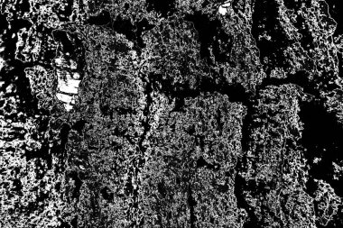 Soyut arkaplan. Monokrom dokusu. Resim siyah ve beyaz tonları içerir.