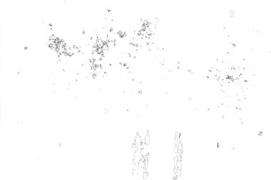 Soyut arkaplan. Monokrom dokusu. Resim siyah ve beyaz tonları içerir.