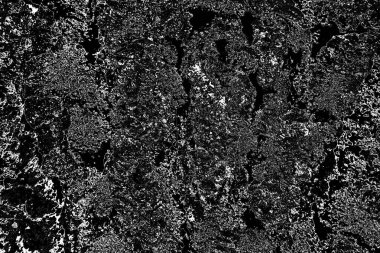 Soyut arkaplan. Monokrom dokusu. Resim siyah ve beyaz tonları içerir.