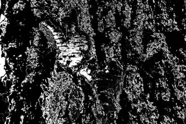 Soyut arkaplan. Monokrom dokusu. Resim siyah ve beyaz tonları içerir.