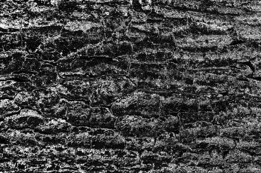 Soyut arkaplan. Monokrom dokusu. Resim siyah ve beyaz tonları içerir.