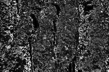 Soyut arkaplan. Monokrom dokusu. Resim siyah ve beyaz tonları içerir.