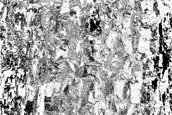 Abstrakti Tausta Yksivärinen Rakenne Kuva Sisältää Vaikutuksen Mustavalkoiset Sävyt — kuvapankkivalokuva