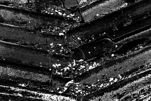 Abstract Background Monochrome Texture Image Includes Effect Black White Tones — Stock Photo, Image