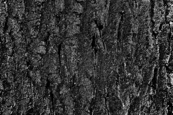 Abstract Background Monochrome Texture Image Includes Effect Black White Tones — Stock Photo, Image