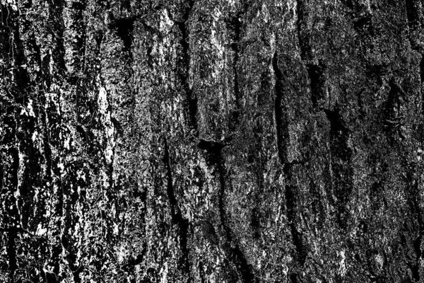 Abstract Background Monochrome Texture Image Includes Effect Black White Tones — Stock Photo, Image