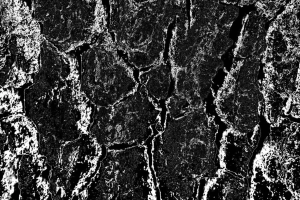 Contexte Abstrait Texture Monochrome Image Comprend Effet Les Tons Noir — Photo