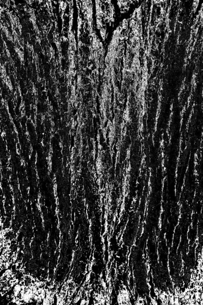 Contexte Abstrait Texture Monochrome Image Comprend Effet Les Tons Noir — Photo