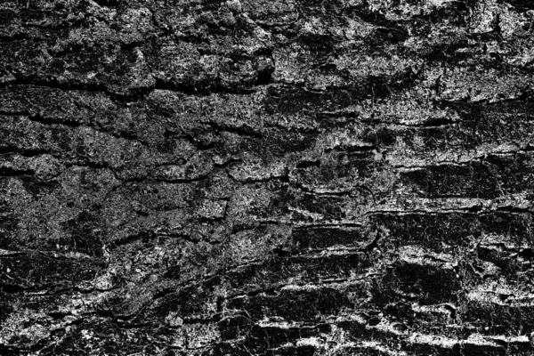 Abstract Grungy Textured Black White Background — Stock Photo, Image