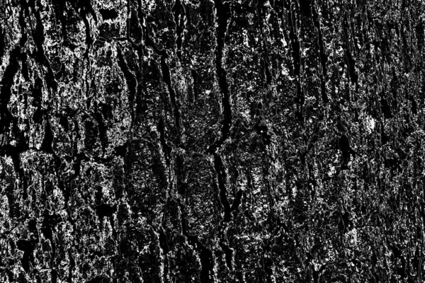 Abstract Background Monochrome Texture Image Includes Effect Black White Tones — Stock Photo, Image