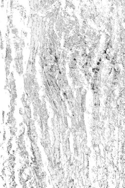 Soyut arkaplan. Monokrom dokusu. Resim siyah ve beyaz tonları içerir.