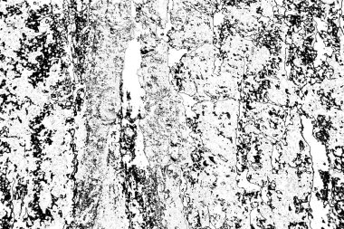 Soyut arkaplan. Monokrom dokusu. Resim siyah ve beyaz tonları içerir.
