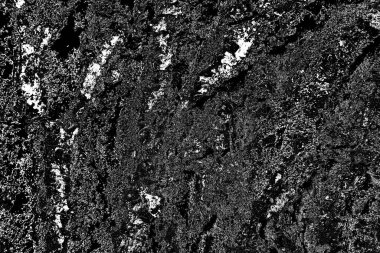 Soyut arkaplan. Monokrom dokusu. Resim siyah ve beyaz tonları içerir.