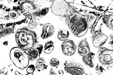 Soyut arkaplan. Monokrom dokusu. Resim siyah ve beyaz tonları içerir.