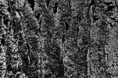 Soyut arkaplan. Monokrom dokusu. Resim siyah ve beyaz tonları içerir.