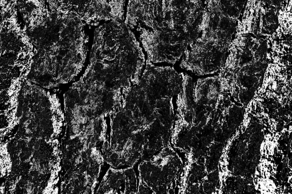 Contexte Abstrait Texture Monochrome Image Comprend Effet Les Tons Noir — Photo