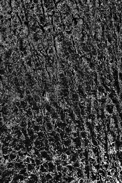 Abstract Background Monochrome Texture Image Includes Effect Black White Tones — Stock Photo, Image