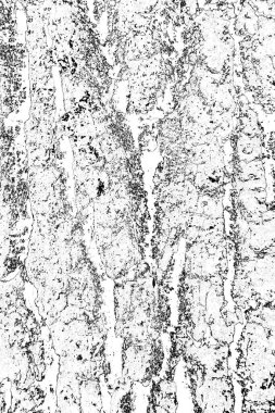 Soyut arkaplan. Monokrom dokusu. Resim siyah ve beyaz tonları içerir.