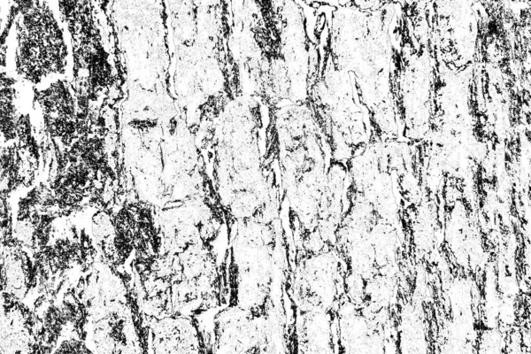 Abstract Background Monochrome Texture Image Includes Effect Black White Tones — Stock Photo, Image