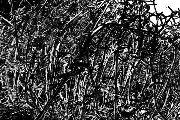 Contexte Abstrait Texture Monochrome Image Comprend Effet Les Tons Noir — Photo