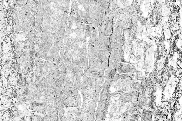 Abstract Background Monochrome Texture Image Includes Effect Black White Tones — Stock Photo, Image