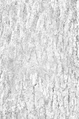 Soyut arkaplan. Monokrom dokusu. Resim siyah ve beyaz tonları içerir.