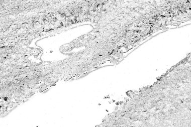 Soyut arkaplan. Monokrom dokusu. Resim siyah ve beyaz tonları içerir.