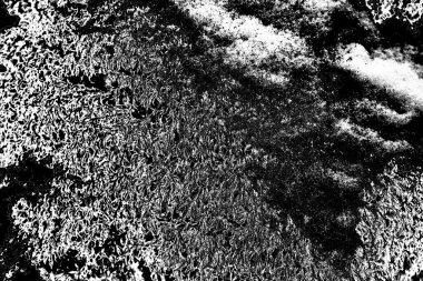 Soyut arkaplan. Monokrom dokusu. Resim siyah ve beyaz tonları içerir.